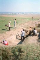 Chronicle of the Archaeological Excavations in Romania, 2001 Campaign. Report no. 62, Cârlomăneşti, Cetăţuia, La Arman<br /><a href='CronicaCAfotografii/2001/062/008.jpg' target=_blank>Display the same picture in a new window</a>