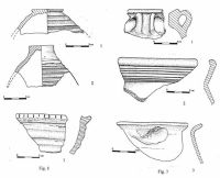 Chronicle of the Archaeological Excavations in Romania, 2001 Campaign. Report no. 83, Desa, La Ruptură, Castraviţa<br /><a href='CronicaCAfotografii/2001/083/fig8-7.jpg' target=_blank>Display the same picture in a new window</a>