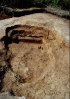 Chronicle of the Archaeological Excavations in Romania, 2001 Campaign. Report no. 118, Iaz, Şusara - Rovină<br /><a href='CronicaCAfotografii/2001/118/Iaz2.jpg' target=_blank>Display the same picture in a new window</a>