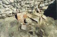 Chronicle of the Archaeological Excavations in Romania, 2001 Campaign. Report no. 128, Jurilovca, Capul Dolojman - Insula Bisericuţă<br /><a href='CronicaCAfotografii/2001/128/foto-9.JPG' target=_blank>Display the same picture in a new window</a>