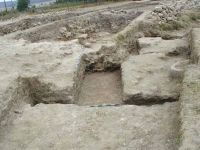 Cronica Cercetărilor Arheologice din România, Campania 2001. Raportul nr. 206