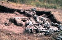 Cronica Cercetărilor Arheologice din România, Campania 2002. Raportul nr. 5