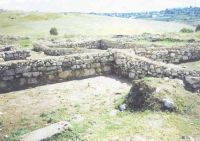 Cronica Cercetărilor Arheologice din România, Campania 2002. Raportul nr. 5
