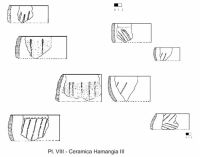 Cronica Cercetărilor Arheologice din România, Campania 2002. Raportul nr. 52