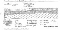 Chronicle of the Archaeological Excavations in Romania, 2002 Campaign. Report no. 146, Pietroasele, La Grădiniţă, Staţiunea de Cercetări Viti-Vinicole, Valea Bazinului<br /><a href='CronicaCAfotografii/2002/146/06.jpg' target=_blank>Display the same picture in a new window</a>