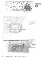 Chronicle of the Archaeological Excavations in Romania, 2002 Campaign. Report no. 146, Pietroasele, La Grădiniţă, Staţiunea de Cercetări Viti-Vinicole, Valea Bazinului<br /><a href='CronicaCAfotografii/2002/146/07.jpg' target=_blank>Display the same picture in a new window</a>