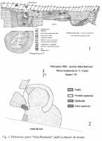 Chronicle of the Archaeological Excavations in Romania, 2002 Campaign. Report no. 146, Pietroasele, La Grădiniţă, Staţiunea de Cercetări Viti-Vinicole, Valea Bazinului<br /><a href='CronicaCAfotografii/2002/146/11.jpg' target=_blank>Display the same picture in a new window</a>