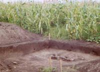 Chronicle of the Archaeological Excavations in Romania, 2002 Campaign. Report no. 186, Siret, Dealul Ruina<br /><a href='CronicaCAfotografii/2002/186/siret6.jpg' target=_blank>Display the same picture in a new window</a>