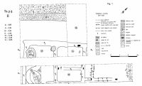 Chronicle of the Archaeological Excavations in Romania, 2002 Campaign. Report no. 205, Teregova, La Hideg (La Luncă)<br /><a href='CronicaCAfotografii/2002/205/fig1.jpg' target=_blank>Display the same picture in a new window</a>