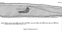 Chronicle of the Archaeological Excavations in Romania, 2003 Campaign. Report no. 67, Desa, Castraviţa<br /><a href='CronicaCAfotografii/2003/067/desa-castravita-pl-6.jpg' target=_blank>Display the same picture in a new window</a>