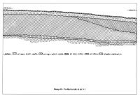 Chronicle of the Archaeological Excavations in Romania, 2003 Campaign. Report no. 67, Desa, Castraviţa<br /><a href='CronicaCAfotografii/2003/067/desa-castravita-pl-9.jpg' target=_blank>Display the same picture in a new window</a>