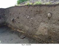 Chronicle of the Archaeological Excavations in Romania, 2003 Campaign. Report no. 95, Jupa, Zidină<br /><a href='CronicaCAfotografii/2003/095/Jupa-Zidina-5.jpg' target=_blank>Display the same picture in a new window</a>