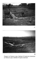 Chronicle of the Archaeological Excavations in Romania, 2003 Campaign. Report no. 96, Jupa, La Drum - Zăvoi (Cetate sau Peste Ziduri)<br /><a href='CronicaCAfotografii/2003/096/jupa-la-drum-pl-2.JPG' target=_blank>Display the same picture in a new window</a>