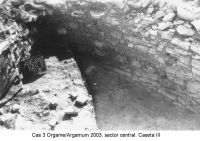 Chronicle of the Archaeological Excavations in Romania, 2003 Campaign. Report no. 97, Jurilovca, Capul Dolojman.<br /> Sector sectorICEM.<br /><a href='CronicaCAfotografii/2003/097/sectorICEM/jurilovca-argamum-cas-3-sector-icem.JPG' target=_blank>Display the same picture in a new window</a>