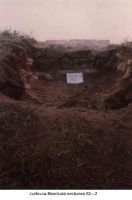 Chronicle of the Archaeological Excavations in Romania, 2003 Campaign. Report no. 98, Jurilovca, Insula Bisericuţa<br /><a href='CronicaCAfotografii/2003/098/jurilovca-bisericuta-sectiunea-s2-c2-2.jpg' target=_blank>Display the same picture in a new window</a>