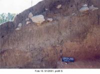 Chronicle of the Archaeological Excavations in Romania, 2003 Campaign. Report no. 153, Rapoltu Mare, Măgura Uroiului<br /><a href='CronicaCAfotografii/2003/153/rapoltu-mare-magura-uroiului-10.jpg' target=_blank>Display the same picture in a new window</a>