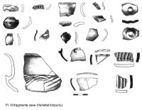 Chronicle of the Archaeological Excavations in Romania, 2003 Campaign. Report no. 153, Rapoltu Mare, Măgura Uroiului<br /><a href='CronicaCAfotografii/2003/153/rapoltu-mare-magura-uroiului-pl-3.jpg' target=_blank>Display the same picture in a new window</a>