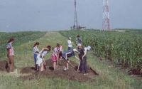 Chronicle of the Archaeological Excavations in Romania, 2003 Campaign. Report no. 177, Siret, Dealul Ruina<br /><a href='CronicaCAfotografii/2003/177/siret-dealul-ruina-a.JPG' target=_blank>Display the same picture in a new window</a>