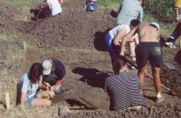 Chronicle of the Archaeological Excavations in Romania, 2003 Campaign. Report no. 177, Siret, Dealul Ruina<br /><a href='CronicaCAfotografii/2003/177/siret-dealul-ruina-b.JPG' target=_blank>Display the same picture in a new window</a>