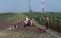 Chronicle of the Archaeological Excavations in Romania, 2003 Campaign. Report no. 177, Siret, Dealul Ruina<br /><a href='CronicaCAfotografii/2003/177/siret-dealul-ruina-e.JPG' target=_blank>Display the same picture in a new window</a>