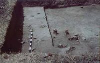 Chronicle of the Archaeological Excavations in Romania, 2003 Campaign. Report no. 177, Siret, Dealul Ruina<br /><a href='CronicaCAfotografii/2003/177/siret-dealul-ruina-i.JPG' target=_blank>Display the same picture in a new window</a>