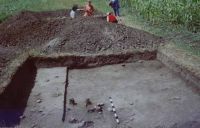 Chronicle of the Archaeological Excavations in Romania, 2003 Campaign. Report no. 177, Siret, Dealul Ruina<br /><a href='CronicaCAfotografii/2003/177/siret-dealul-ruina-k.JPG' target=_blank>Display the same picture in a new window</a>