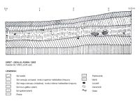 Chronicle of the Archaeological Excavations in Romania, 2003 Campaign. Report no. 177, Siret, Dealul Ruina<br /><a href='CronicaCAfotografii/2003/177/siret-dealul-ruina-p.jpg' target=_blank>Display the same picture in a new window</a>