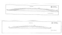 Chronicle of the Archaeological Excavations in Romania, 2004 Campaign. Report no. 46, Blejoi, E de DN 1 (Bucureşti-Braşov), în dreptul km 66<br /><a href='CronicaCAfotografii/2004/046/rsz-7.jpg' target=_blank>Display the same picture in a new window</a>