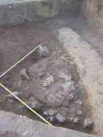 Chronicle of the Archaeological Excavations in Romania, 2004 Campaign. Report no. 68, Cârlomăneşti, Cetăţuia<br /><a href='CronicaCAfotografii/2004/068/rsz-4.jpg' target=_blank>Display the same picture in a new window</a>