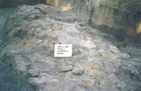 Cronica Cercetărilor Arheologice din România, Campania 2004. Raportul nr. 84