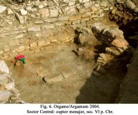 Chronicle of the Archaeological Excavations in Romania, 2004 Campaign. Report no. 129, Jurilovca, Capul Dolojman<br /><a href='CronicaCAfotografii/2004/129/rsz-6.jpg' target=_blank>Display the same picture in a new window</a>