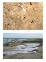 Chronicle of the Archaeological Excavations in Romania, 2004 Campaign. Report no. 148, Măriuţa, La Movilă<br /><a href='CronicaCAfotografii/2004/148/rsz-0.jpg' target=_blank>Display the same picture in a new window</a>