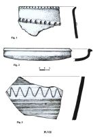 Chronicle of the Archaeological Excavations in Romania, 2004 Campaign. Report no. 181, Rapoltu Mare, Măgura Uroiului<br /><a href='CronicaCAfotografii/2004/181/rsz-22.jpg' target=_blank>Display the same picture in a new window</a>