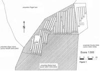 Chronicle of the Archaeological Excavations in Romania, 2004 Campaign. Report no. 189, Roşia Montană, Ţarina - Zona Kapolna  (Alburnus Maior)<br /><a href='CronicaCAfotografii/2004/189/rsz-0.jpg' target=_blank>Display the same picture in a new window</a>