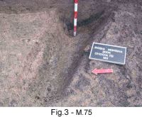 Chronicle of the Archaeological Excavations in Romania, 2004 Campaign. Report no. 189, Roşia Montană, Ţarina - Zona Kapolna  (Alburnus Maior)<br /><a href='CronicaCAfotografii/2004/189/rsz-32.jpg' target=_blank>Display the same picture in a new window</a>