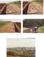 Chronicle of the Archaeological Excavations in Romania, 2004 Campaign. Report no. 206, Siret, Dealul Ruina<br /><a href='CronicaCAfotografii/2004/206/rsz-3.jpg' target=_blank>Display the same picture in a new window</a>