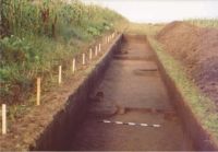 Chronicle of the Archaeological Excavations in Romania, 2004 Campaign. Report no. 206, Siret, Dealul Ruina<br /><a href='CronicaCAfotografii/2004/206/rsz-30.jpg' target=_blank>Display the same picture in a new window</a>