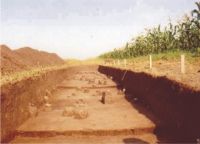 Chronicle of the Archaeological Excavations in Romania, 2004 Campaign. Report no. 206, Siret, Dealul Ruina<br /><a href='CronicaCAfotografii/2004/206/rsz-33.jpg' target=_blank>Display the same picture in a new window</a>