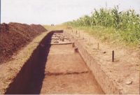 Chronicle of the Archaeological Excavations in Romania, 2004 Campaign. Report no. 206, Siret, Dealul Ruina<br /><a href='CronicaCAfotografii/2004/206/rsz-34.jpg' target=_blank>Display the same picture in a new window</a>