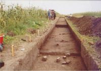 Chronicle of the Archaeological Excavations in Romania, 2004 Campaign. Report no. 206, Siret, Dealul Ruina<br /><a href='CronicaCAfotografii/2004/206/rsz-35.jpg' target=_blank>Display the same picture in a new window</a>