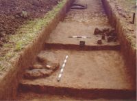 Chronicle of the Archaeological Excavations in Romania, 2004 Campaign. Report no. 206, Siret, Dealul Ruina<br /><a href='CronicaCAfotografii/2004/206/rsz-38.jpg' target=_blank>Display the same picture in a new window</a>