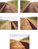 Chronicle of the Archaeological Excavations in Romania, 2004 Campaign. Report no. 206, Siret, Dealul Ruina<br /><a href='CronicaCAfotografii/2004/206/rsz-4.jpg' target=_blank>Display the same picture in a new window</a>