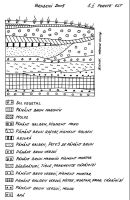 Cronica Cercetărilor Arheologice din România, Campania 2005. Raportul nr. 38