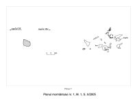 Chronicle of the Archaeological Excavations in Romania, 2005 Campaign. Report no. 71, Desa, Castraviţa, La ruptură<br /><a href='CronicaCAfotografii/2005/071/rsz-12.jpg' target=_blank>Display the same picture in a new window</a>