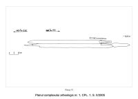 Chronicle of the Archaeological Excavations in Romania, 2005 Campaign. Report no. 71, Desa, Castraviţa, La ruptură<br /><a href='CronicaCAfotografii/2005/071/rsz-13.jpg' target=_blank>Display the same picture in a new window</a>