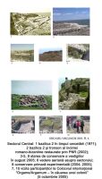 Chronicle of the Archaeological Excavations in Romania, 2005 Campaign. Report no. 101, Jurilovca, Cap Dolojman<br /><a href='CronicaCAfotografii/2005/101/rsz-3.jpg' target=_blank>Display the same picture in a new window</a>