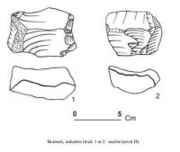 Chronicle of the Archaeological Excavations in Romania, 2005 Campaign. Report no. 153, Remetea Oaşului, Remetea Şomoş I, Remetea Şomoş II, Coasta Boineşti (Belevara)<br /><a href='CronicaCAfotografii/2005/153/rsz-0.jpg' target=_blank>Display the same picture in a new window</a>