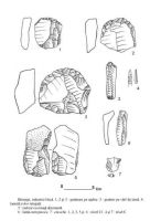 Chronicle of the Archaeological Excavations in Romania, 2005 Campaign. Report no. 153, Remetea Oaşului, Remetea Şomoş I, Remetea Şomoş II, Coasta Boineşti (Belevara)<br /><a href='CronicaCAfotografii/2005/153/rsz-2.jpg' target=_blank>Display the same picture in a new window</a>