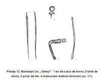 Chronicle of the Archaeological Excavations in Romania, 2006 Campaign. Report no. 47, Bumbeşti-Jiu, Gară, Vârtop<br /><a href='CronicaCAfotografii/2006/047/rsz-3.jpg' target=_blank>Display the same picture in a new window</a>