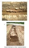 Chronicle of the Archaeological Excavations in Romania, 2006 Campaign. Report no. 47, Bumbeşti-Jiu, Gară, Vârtop<br /><a href='CronicaCAfotografii/2006/047/rsz-7.jpg' target=_blank>Display the same picture in a new window</a>